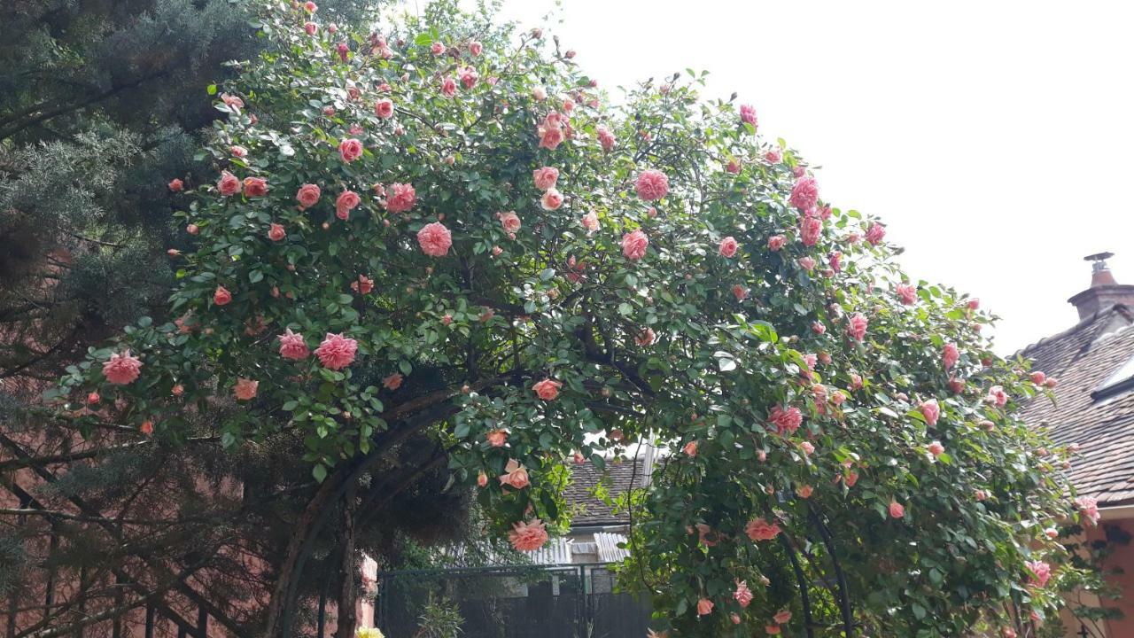 La Maison Rose: Lieu Atypique Hotell Nemours Exteriör bild